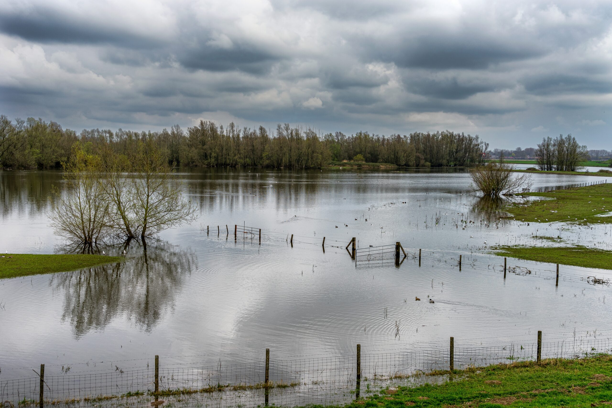 The Waal river bed in winter on a overcast day